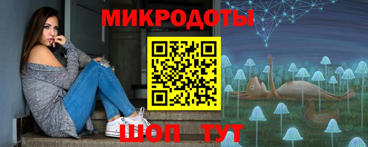 Галлюциногенные грибы Psilocybine cubensis Ногинск